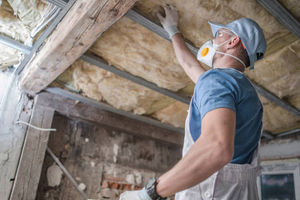 Best Insulation Maintenance and Repair in Madison, GA